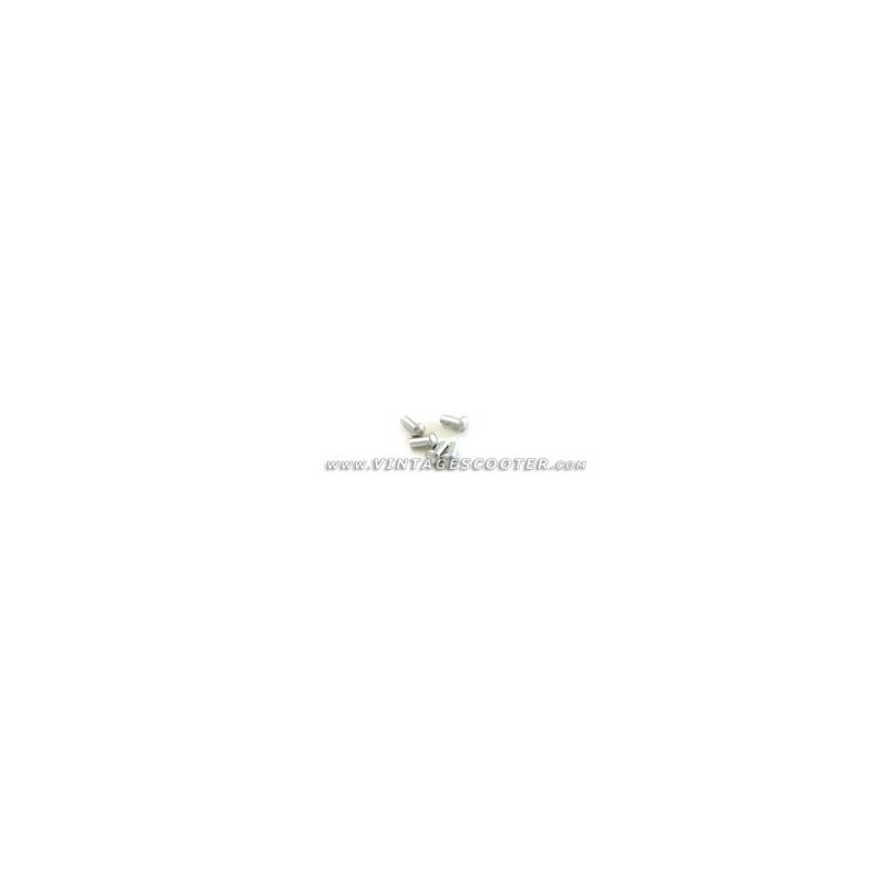 Jeu de 5 rivets a mater 2x4mm pour plaque des mines 